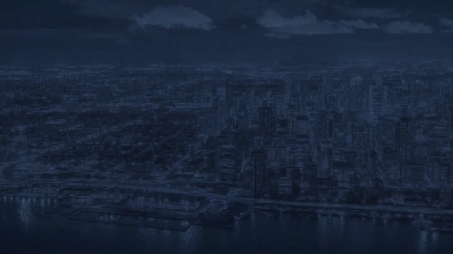 Toronto from the air at night, before the lights come on